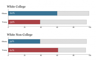 Bar Charts
