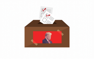 Trump voter box