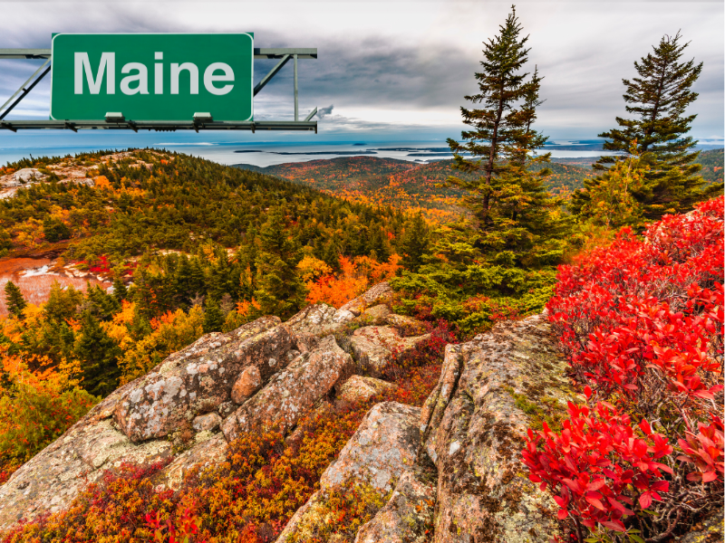 Maine Charlie